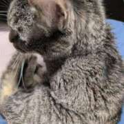 ヒメ日記 2026/02/12 15:07 投稿 かおん 逢って30秒で即尺