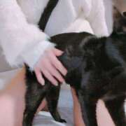 ヒメ日記 2026/02/13 18:44 投稿 かおん 逢って30秒で即尺