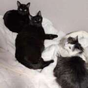 ヒメ日記 2026/02/22 12:04 投稿 かおん 逢って30秒で即尺