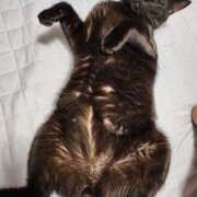 ヒメ日記 2026/02/23 15:32 投稿 かおん 逢って30秒で即尺