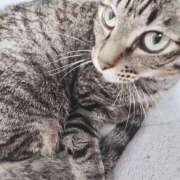 ヒメ日記 2026/02/24 20:32 投稿 かおん 逢って30秒で即尺