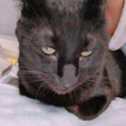 ヒメ日記 2026/02/27 23:43 投稿 かおん 逢って30秒で即尺