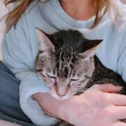 ヒメ日記 2026/03/06 17:01 投稿 かおん 逢って30秒で即尺