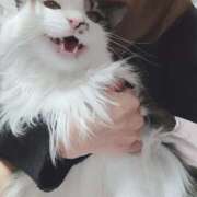 ヒメ日記 2026/04/04 22:25 投稿 かおん 逢って30秒で即尺