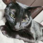 ヒメ日記 2026/04/07 23:20 投稿 かおん 逢って30秒で即尺