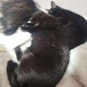 ヒメ日記 2026/04/17 20:30 投稿 かおん 逢って30秒で即尺