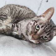 ヒメ日記 2026/04/17 23:37 投稿 かおん 逢って30秒で即尺