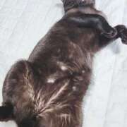 ヒメ日記 2026/04/20 15:21 投稿 かおん 逢って30秒で即尺