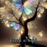 ヒメ日記 2026/01/08 23:35 投稿 るか 熟女家 東大阪店（布施・長田）