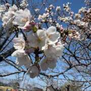 ヒメ日記 2026/03/28 09:54 投稿 るか 熟女家 東大阪店（布施・長田）