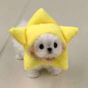 桐谷しいな 今日もありがとう? グランエステ東京 品川（シンデレラグループ）