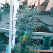 ヒメ日記 2025/12/31 21:19 投稿 ゆき まる熟性感倶楽部 埼玉