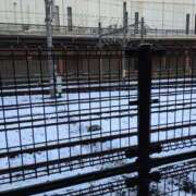 ヒメ日記 2026/01/05 23:16 投稿 ゆき まる熟性感倶楽部 埼玉