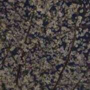 ヒメ日記 2026/04/03 22:19 投稿 ゆき まる熟性感倶楽部 埼玉