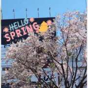 ヒメ日記 2026/04/09 19:55 投稿 ゆき まる熟性感倶楽部 埼玉