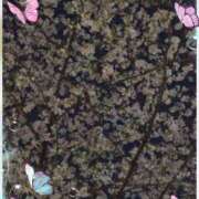 ヒメ日記 2026/04/11 22:20 投稿 ゆき まる熟性感倶楽部 埼玉