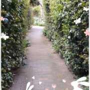 ヒメ日記 2026/04/13 19:59 投稿 ゆき まる熟性感倶楽部 埼玉