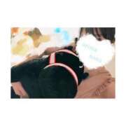 ヒメ日記 2025/11/16 18:07 投稿 有馬 奈々 CASA BIANCA（カーサ・ビアンカ）