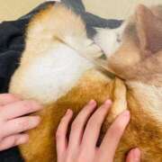 ヒメ日記 2026/02/18 19:19 投稿 つき 東京リップ 秋葉原店