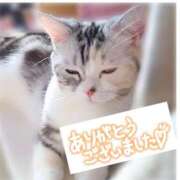 如月れおな 一昨日はありがとうございました♡ 松戸人妻花壇