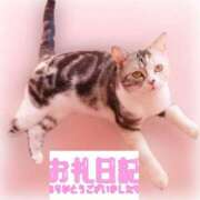 如月れおな お誘いありがとうございました❣️ 松戸人妻花壇