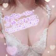 ヒメ日記 2025/10/17 19:29 投稿 しずく 五反田人妻ヒットパレード（シンデレラグループ）