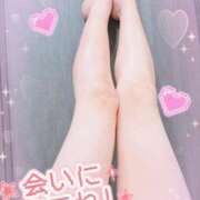 しずく 足フェチさん、、? 五反田人妻ヒットパレード（シンデレラグループ）