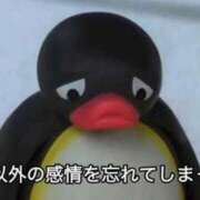 ヒメ日記 2025/11/14 17:58 投稿 るる★ラウンジ系圧倒的美人 新妻物語