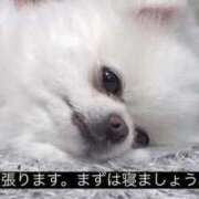 ヒメ日記 2025/11/14 23:58 投稿 るる★ラウンジ系圧倒的美人 新妻物語