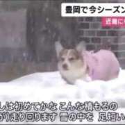 ヒメ日記 2026/01/27 21:48 投稿 るる★ラウンジ系圧倒的美人 新妻物語