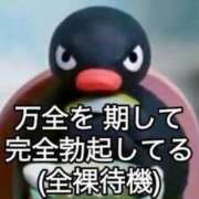 ヒメ日記 2026/02/20 15:11 投稿 るる★ラウンジ系圧倒的美人 新妻物語