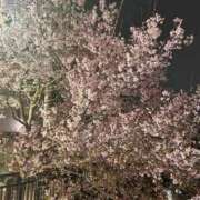 ヒメ日記 2026/03/27 17:40 投稿 るる★ラウンジ系圧倒的美人 新妻物語