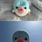 ヒメ日記 2026/04/16 16:08 投稿 るる★ラウンジ系圧倒的美人 新妻物語