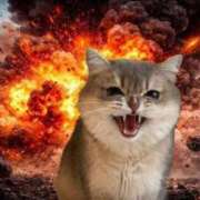 ヒメ日記 2026/04/17 17:08 投稿 るる★ラウンジ系圧倒的美人 新妻物語