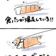 ヒメ日記 2026/08/25 17:58 投稿 るる★ラウンジ系圧倒的美人 新妻物語