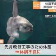 ヒメ日記 2026/09/01 23:38 投稿 るる★ラウンジ系圧倒的美人 新妻物語