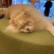 ヒメ日記 2026/02/04 19:51 投稿 みずき AFTER V（アフターファイブ）