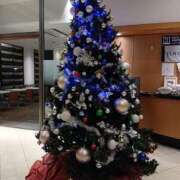 ヒメ日記 2025/12/27 13:46 投稿 ゆか 奥様電車