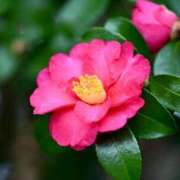 ヒメ日記 2026/01/24 15:03 投稿 ゆか 奥様電車