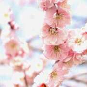 ヒメ日記 2026/03/02 23:17 投稿 ゆか 奥様電車