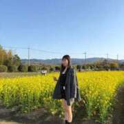 ヒメ日記 2026/03/05 15:42 投稿 小雪【コユキ】 ピンクコレクション大阪