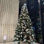 ヒメ日記 2025/12/11 17:50 投稿 小雪【コユキ】 ピンクコレクション大阪キタ店