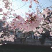 ヒメ日記 2026/03/24 15:02 投稿 山崎れん ウフフな40。ムフフな50。。（横浜ハレ系）