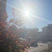 ヒメ日記 2025/11/27 22:19 投稿 なつみ サティアンまーと