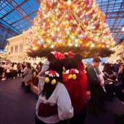 ヒメ日記 2025/12/07 17:29 投稿 なつみ サティアンまーと