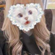 ヒメ日記 2025/11/18 15:05 投稿 イヴ クラブダイアモンド日本橋店