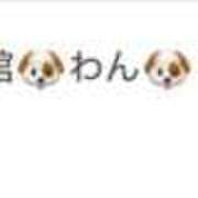 ヒメ日記 2025/10/21 15:15 投稿 わん 池袋マリン別館