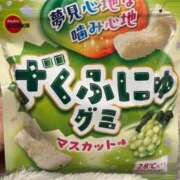 ヒメ日記 2025/11/08 06:05 投稿 わん 池袋マリン別館