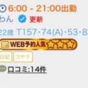 ヒメ日記 2025/11/20 01:55 投稿 わん 池袋マリン別館