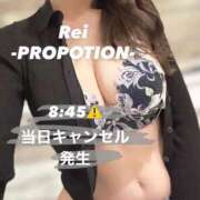 ヒメ日記 2026/08/12 06:56 投稿 Rei PROPORTION